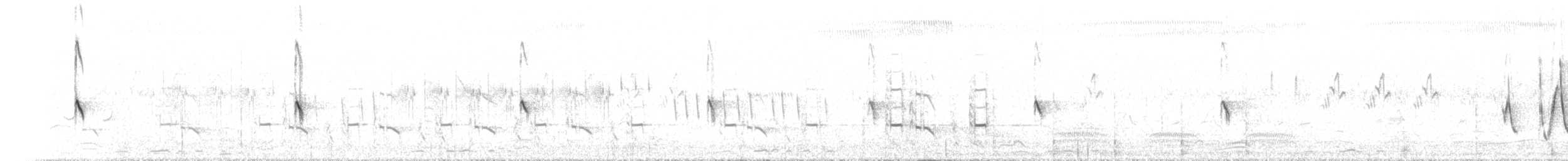 Bristled Grassbird - ML640175367