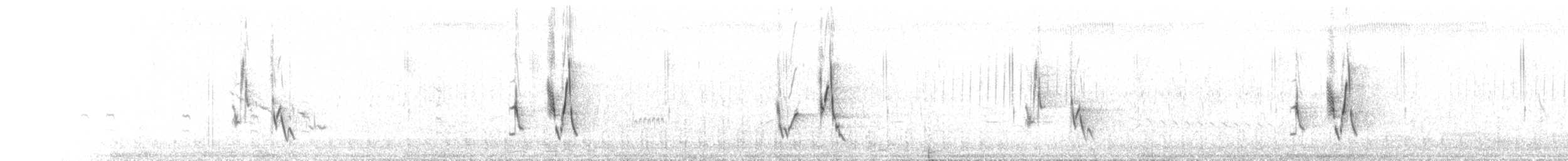 Bristled Grassbird - ML640175368