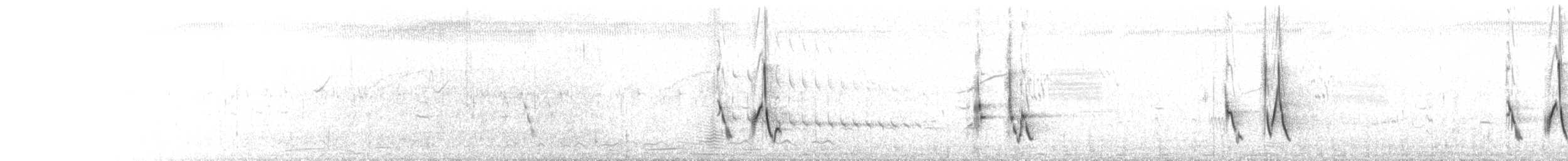 Bristled Grassbird - ML640175374
