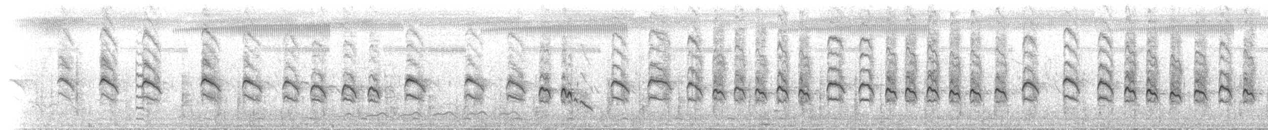 Striated Babbler - ML640175403