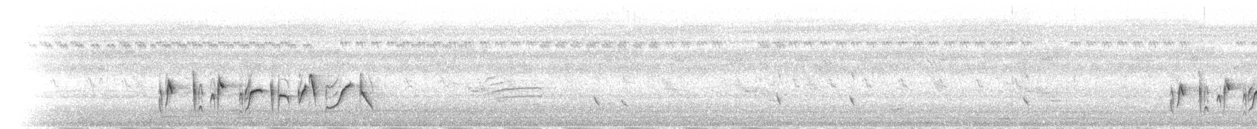 Yellow-eyed Babbler - ML640175745