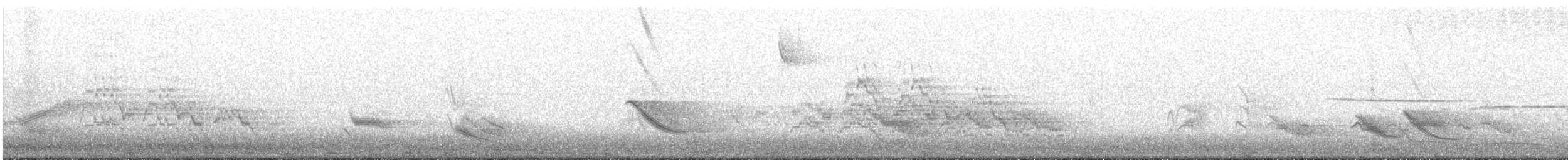 Дрізд-короткодзьоб бурий - ML64017841