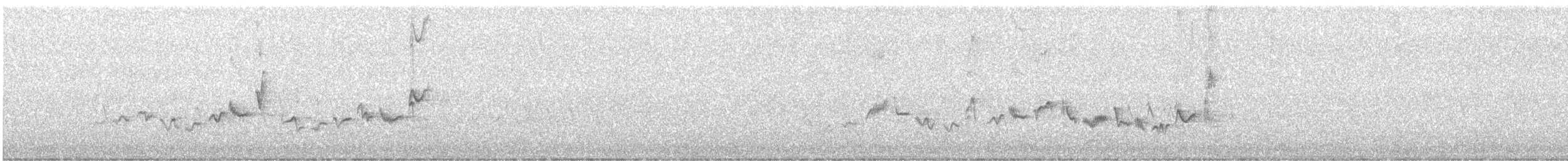 Eastern Warbling Vireo - ML640178824