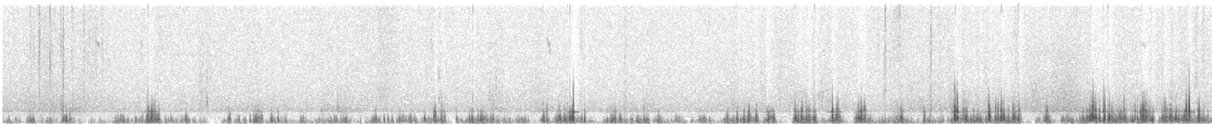 White-winged Fairywren - ML640179266