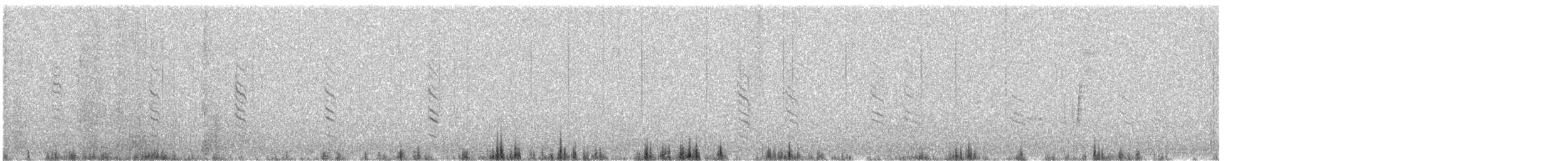 hvithodehonningskvett - ML640179267