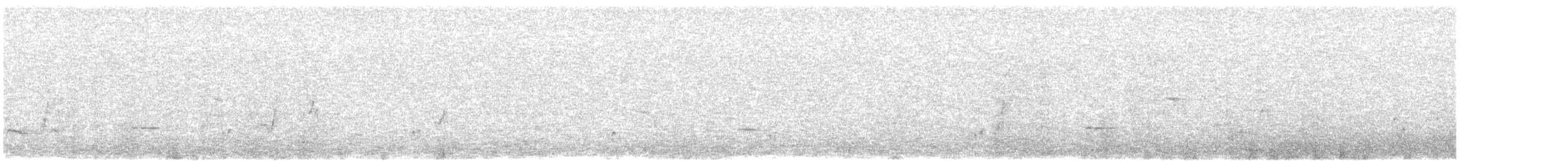 コシアカヒバリモドキ - ML640179285