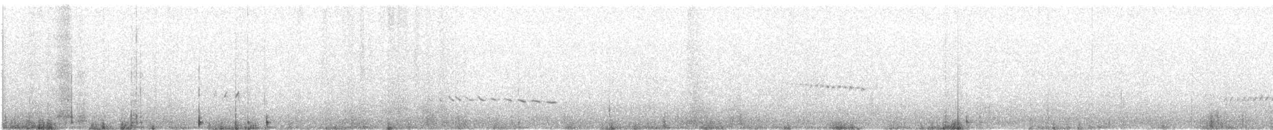 White-winged Triller - ML640179304