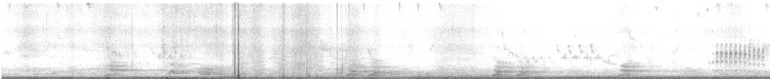 Tyranneau suiriri - ML640182141