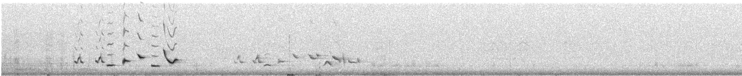 Scott's Oriole - ML640182761