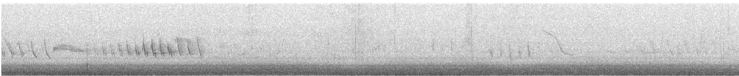 Grace's Warbler - ML640182902