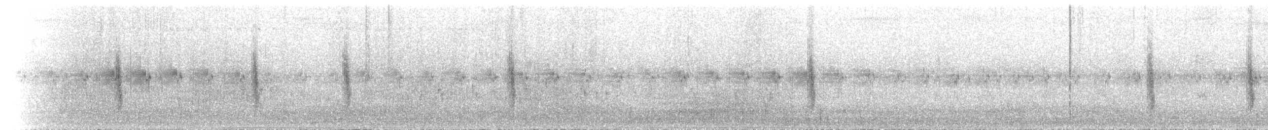 Pied Bushchat - ML640182939