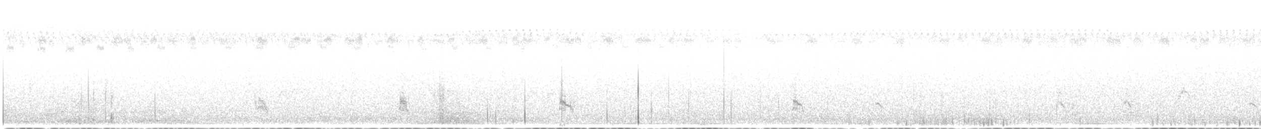 Stilt Sandpiper - ML640188997