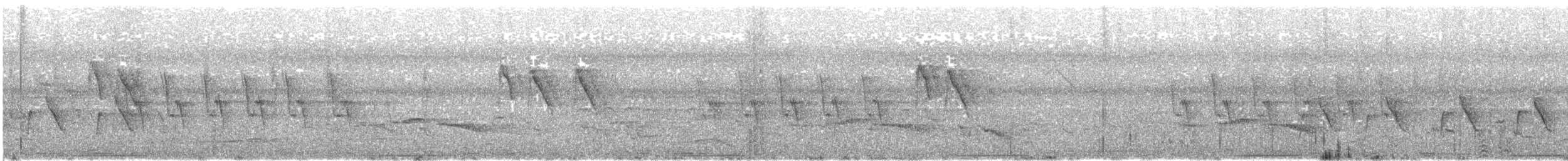 holub zelenokřídlý - ML640189605