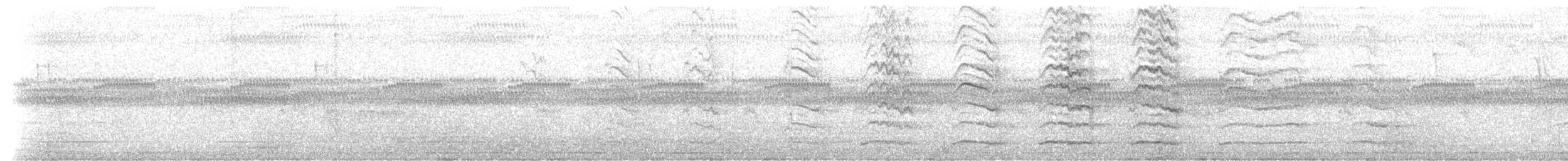 Guira Cuckoo - ML640192704