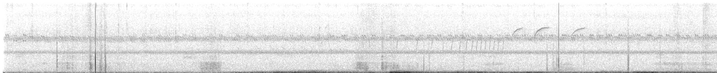 Bruant de Botteri - ML640194739