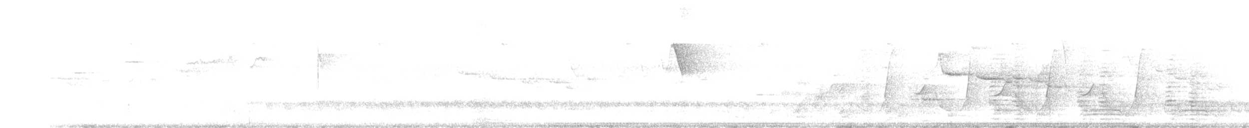 Lewin's Honeyeater - ML640197493