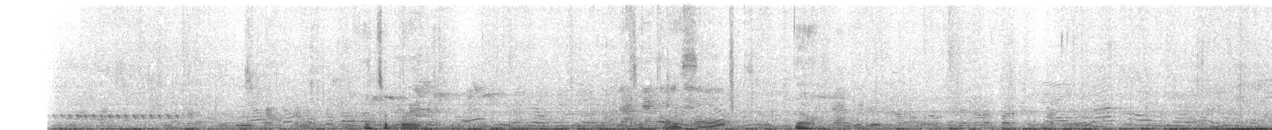 White-shouldered Triller - ML640198715