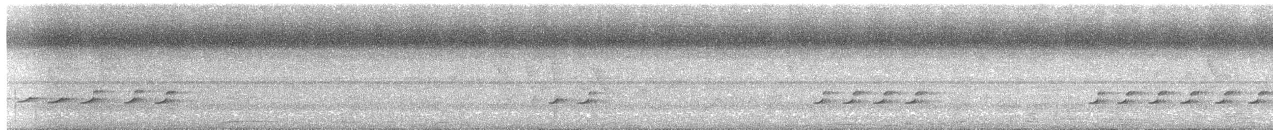 Piratic Flycatcher - ML640199638