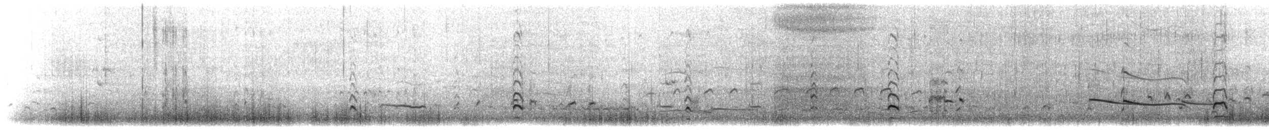 オオソリハシシギ（baueri グループ） - ML640199695