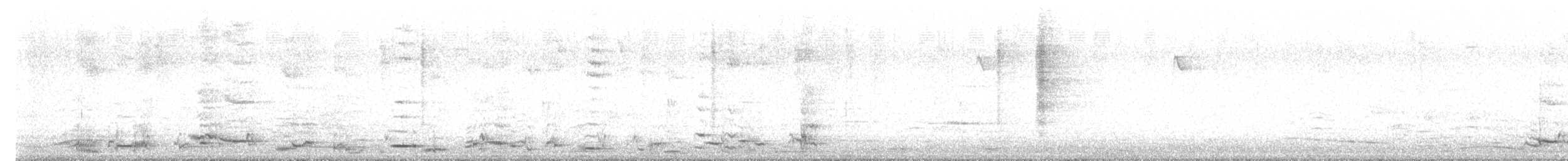 Australian Magpie - ML640200191