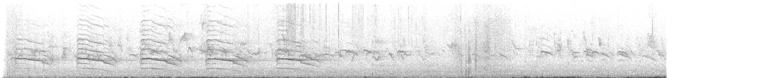 カタアカノスリ（elegans） - ML640201170