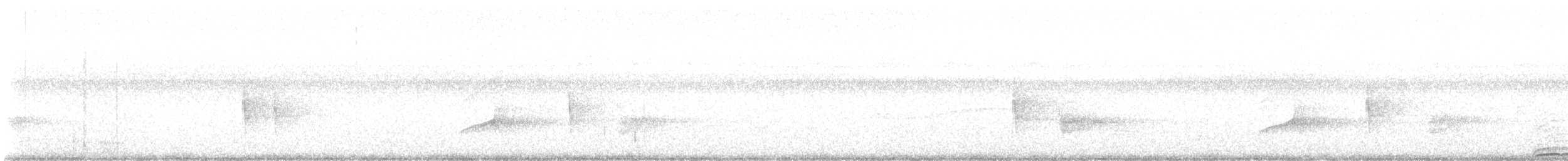 Barred Owl - ML640201820