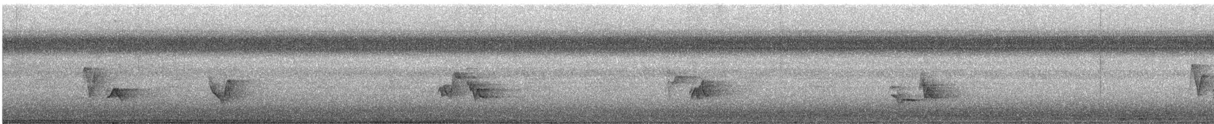 チャイロツグミモドキ - ML640202641