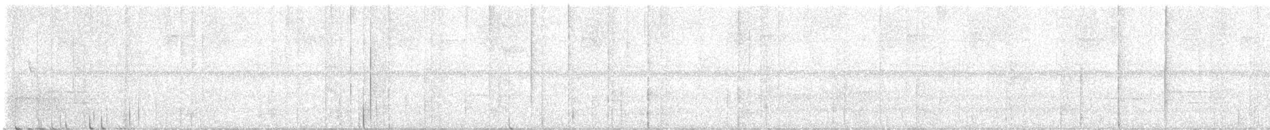 Musician Wren (Gray-eared) - ML640202906