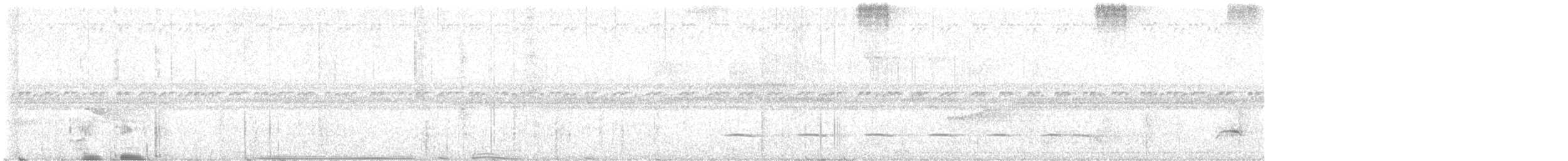 White-shouldered Antshrike - ML640203789
