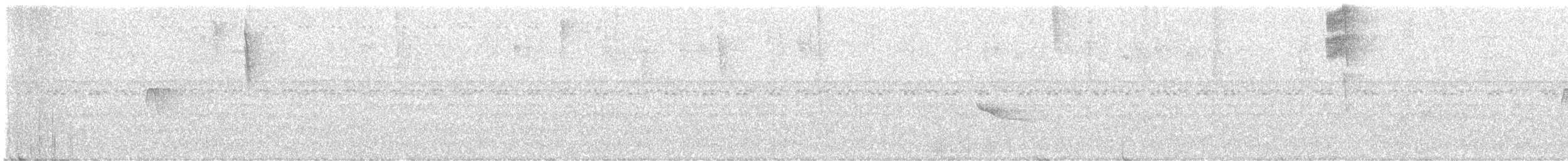 Ecuadorian Tyrannulet - ML640203974