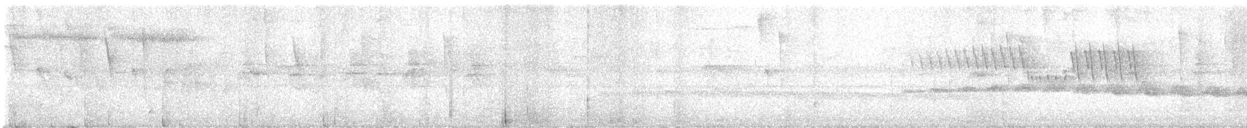 Black-faced Antbird - ML640204005