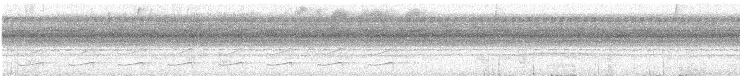 Spotted Puffbird - ML640205196