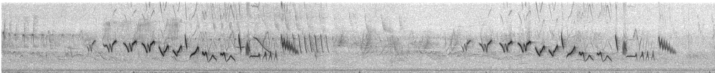 Southern Yellowthroat - ML640205292