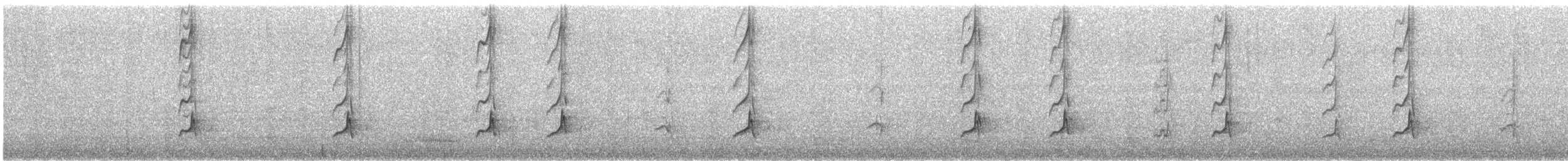 Brown-crested Flycatcher - ML640205554