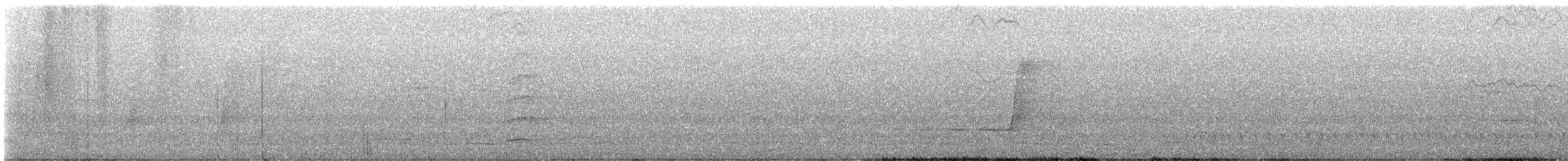 Willie-wagtail - ML640207108