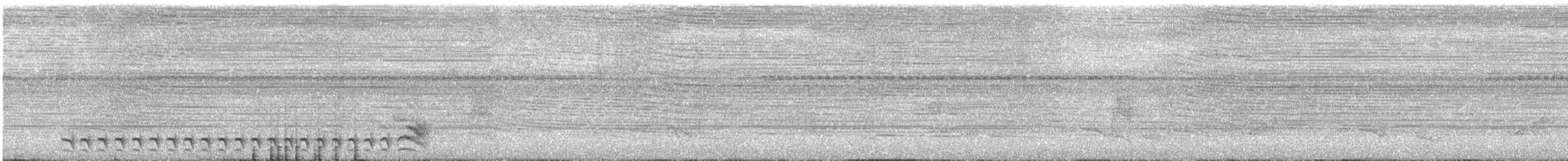 Black-crowned Antshrike - ML640208031