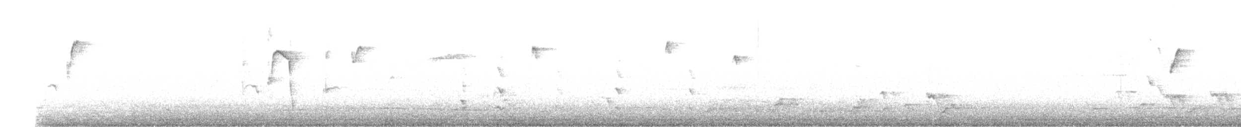 Polynesian Starling (Polynesian) - ML640208832