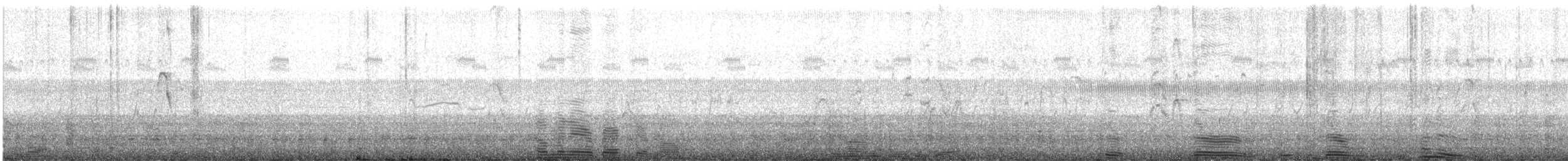 Charadriiformes sp. - ML640208946