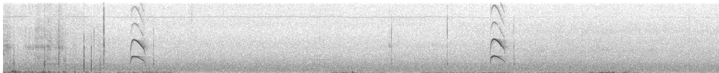 Nutting's/Salvadoran Flycatcher - ML64020921