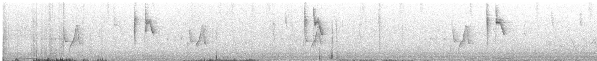 Nutting's/Salvadoran Flycatcher - ML64020931