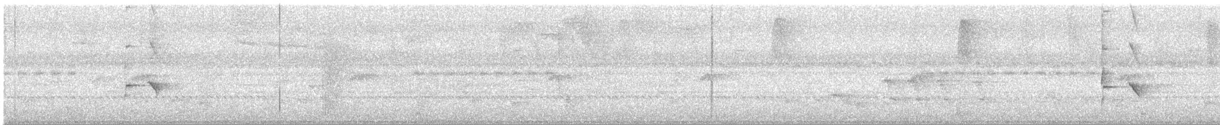 rødstripemanakin - ML640209350