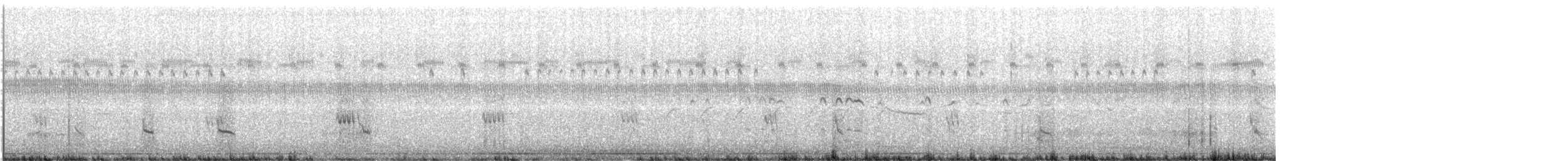 Stilt Sandpiper - ML640209393