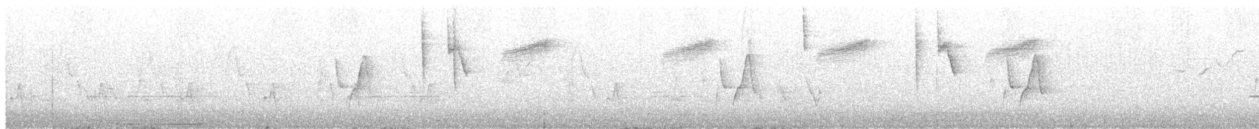 Nutting's/Salvadoran Flycatcher - ML64020941