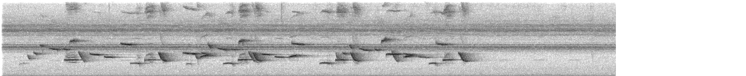 Stripe-throated Wren - ML640209464