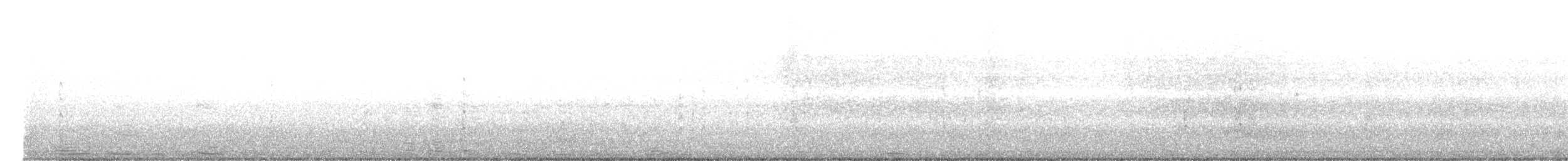 Phaéton à bec jaune (dorotheae) - ML640209467