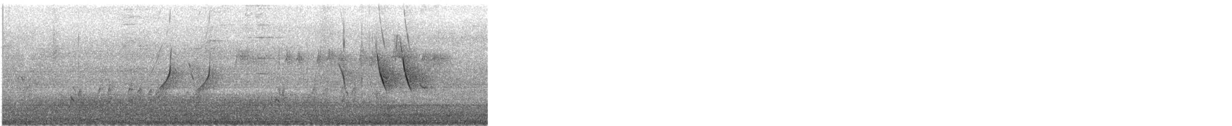 African Pied Wagtail - ML640209541