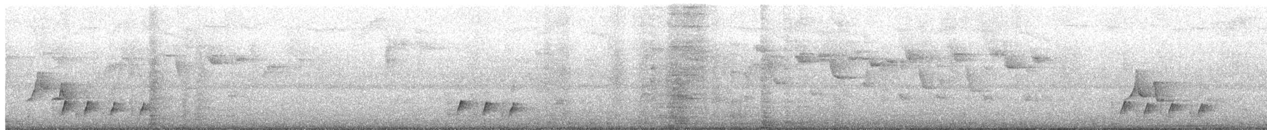 Whiskered Wren - ML640214283
