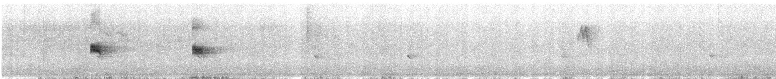 Canyon Wren - ML640214378