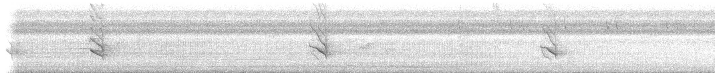 Metallic Starling - ML640217128