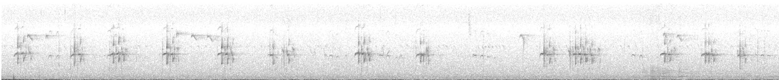 Northern Beardless-Tyrannulet - ML640217271